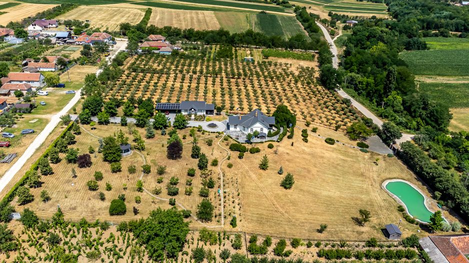 REZERVAT Visezi la o proprietate unică, plină de istorie și farmec? - Poză 12