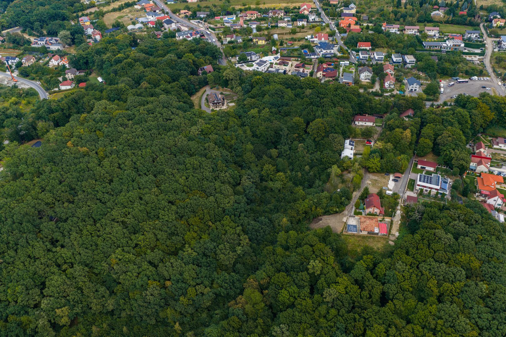 Teren cu suprafata de 10.000 mp I Faget - Poză 6