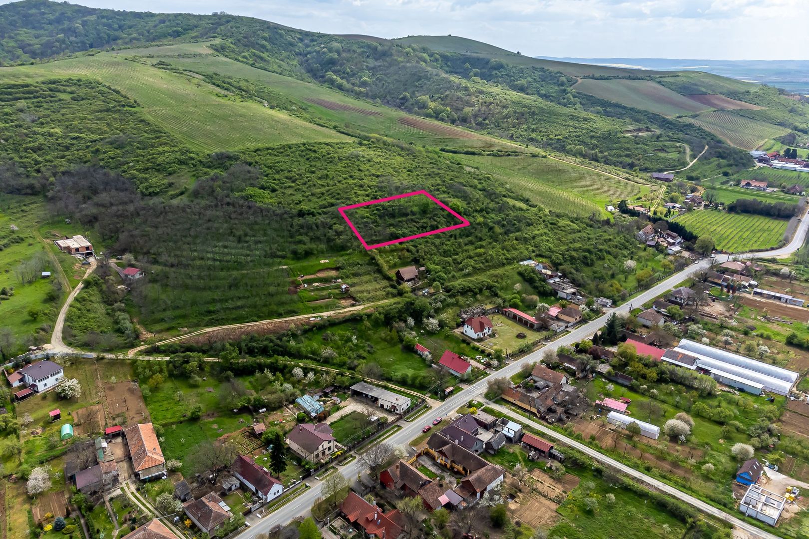 4.300 mp teren pe deal împădurit la Miniș - Poză 4