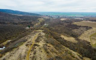 Teren pe deal în Miniș - Poză 1