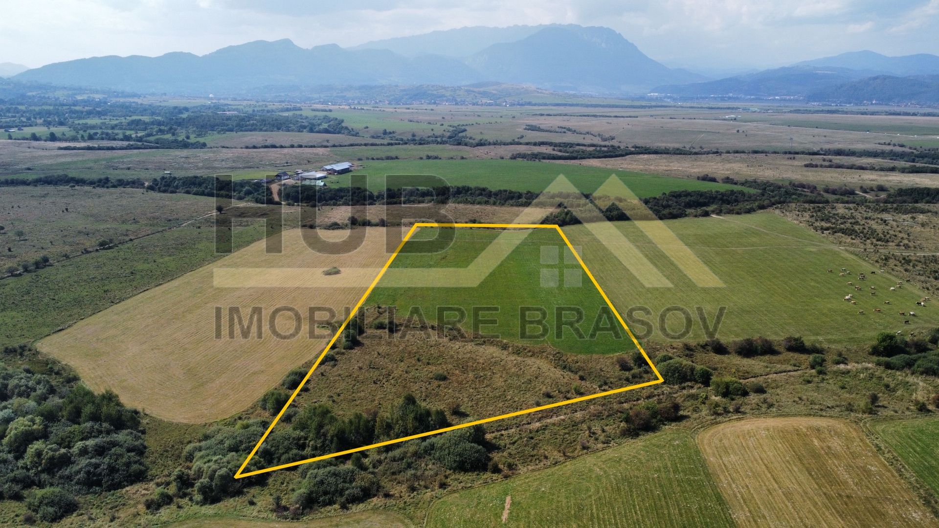 Oportunitate Investitie | Panicel - Rasnov | Extravilan | 29.300mp - Poză 2