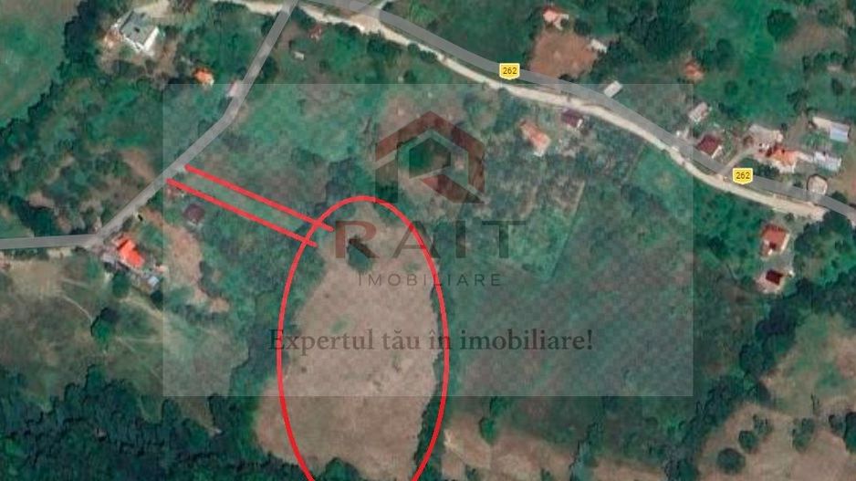 Teren extravilan de vânzare 11.740 mp Corbeni Turburea Argeș - Poză 8