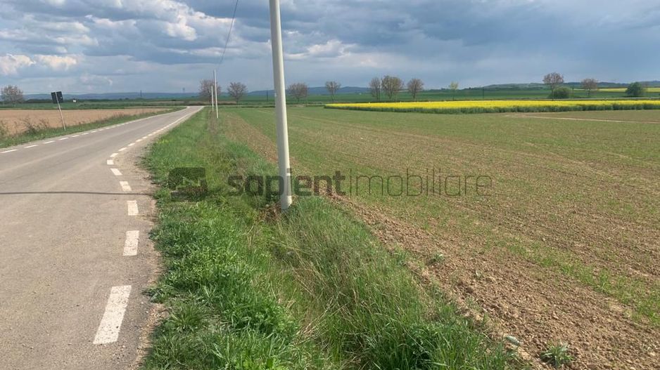 Sapient | Teren Agricol Intravilan zona Bors ,localitate Santau - Poză 2