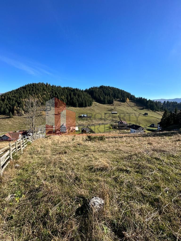 Teren Fundatica intravilan 4500 mp - Poză 9