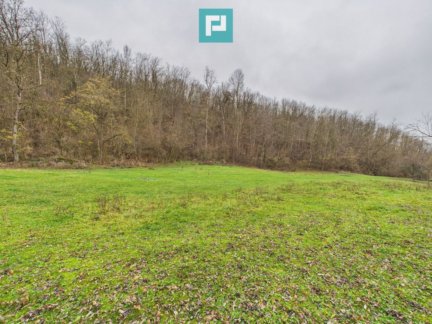 Casă cu teren de 24.679,73 mp, în Hălmagiu, Arad - Poză 22