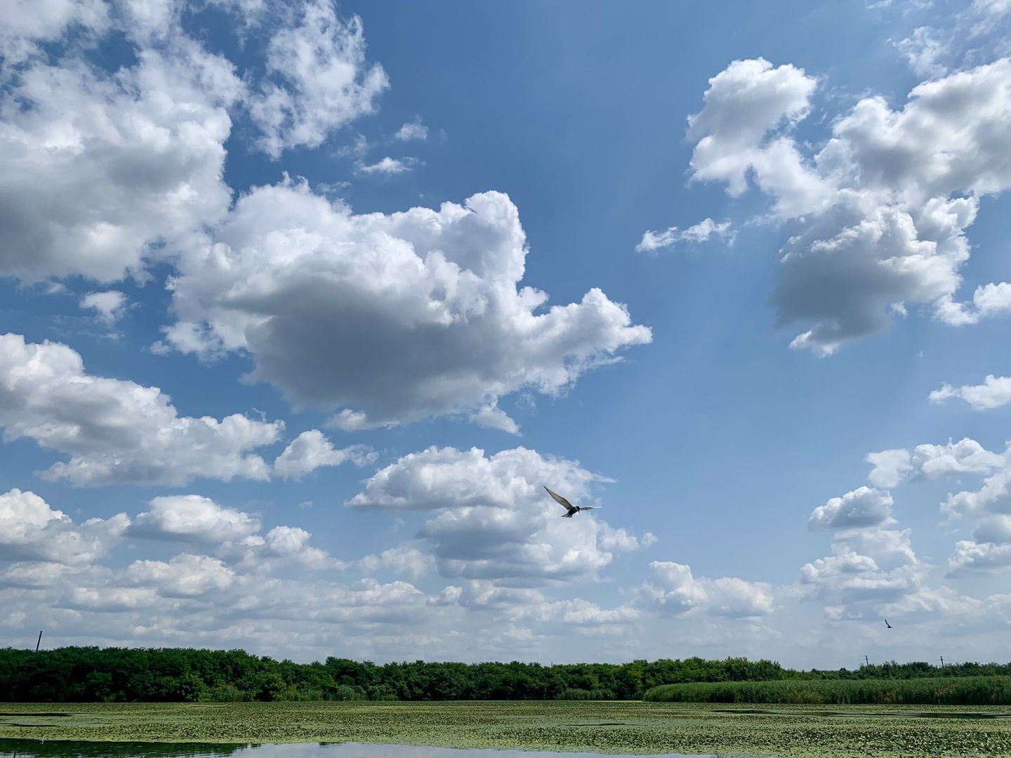 Teren Crevedia 62000 mp - Poză 3