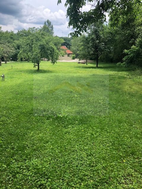 Reședință exclusivistă cu deschidere la Lacul Scroviștea - Poză 25