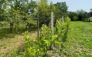 Vând teren intravilan, Str Dealului 64 - 936 mp,front stradal 13.4 m - Poză 7