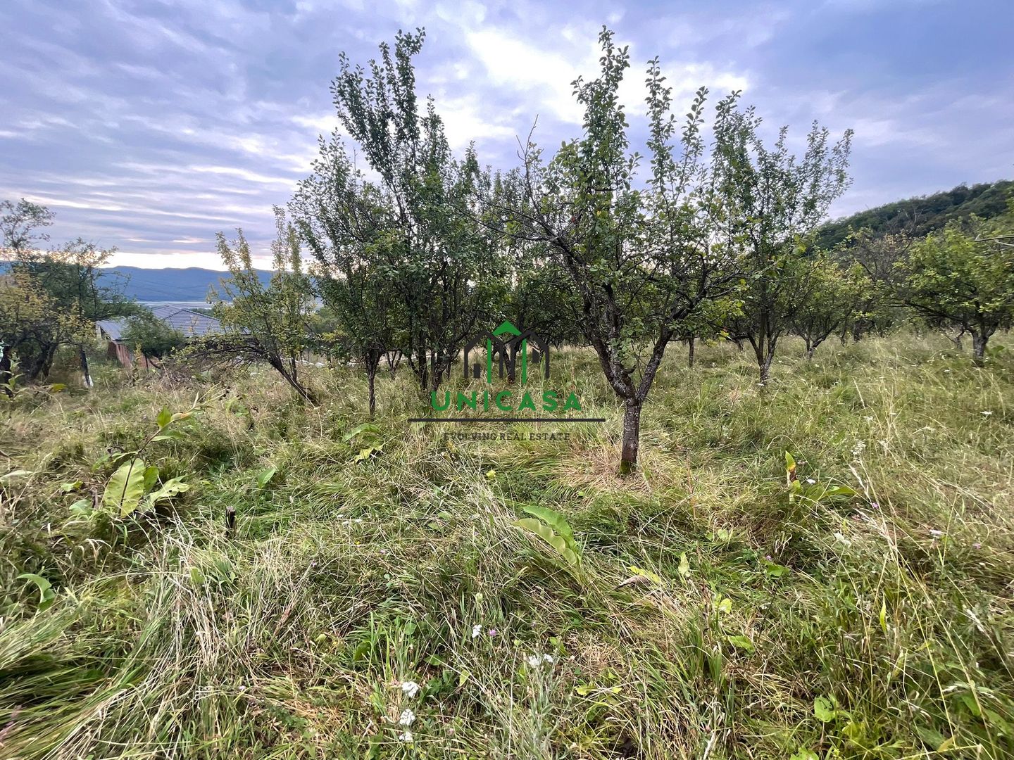 Teren intravilan - Cetatuie - Poză 1