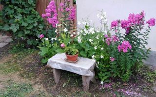 Casă cu 3 camere și teren 2100 mp, Trifești, județul Iași - Poză 3