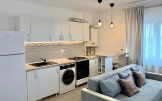 Centrala proprie bloc nou studio renovat mobilat Ozana - Poză 2