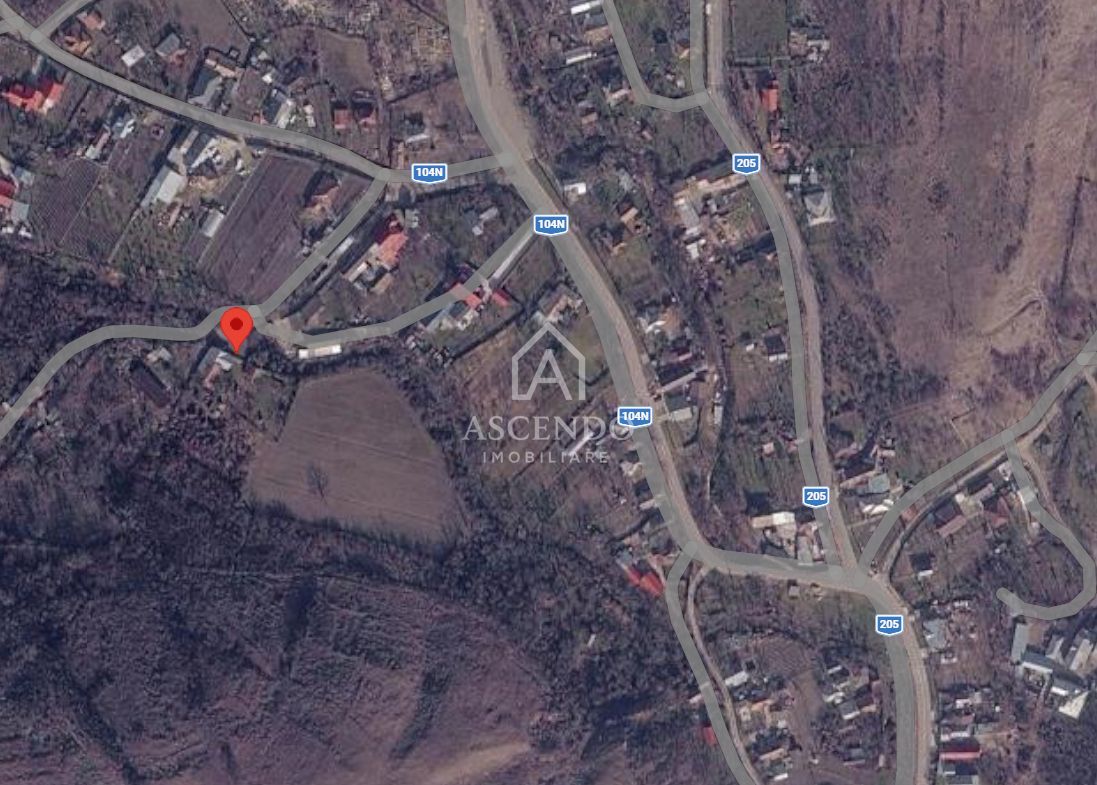 Domeniu 15.900 mp în Fințești | Casă + Investiție Dealu Mare - Poză 29