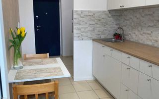 2 Camere Apartament de Inchiriat Gara De Nord - Poză 4