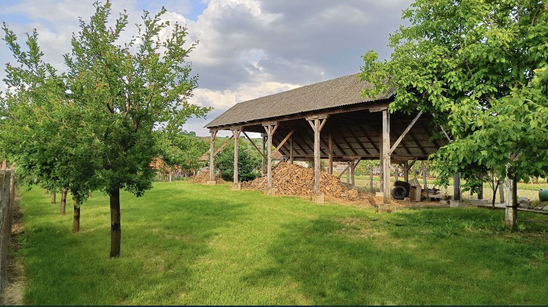 Casa de vanzare in Sacaseni, langa baile termale Tasnad - Poză 3