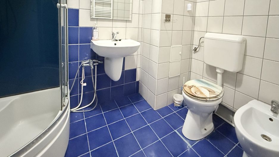 Casă practică, cu curte și parcare, în zona centrală - Parcul Carol - Poză 16