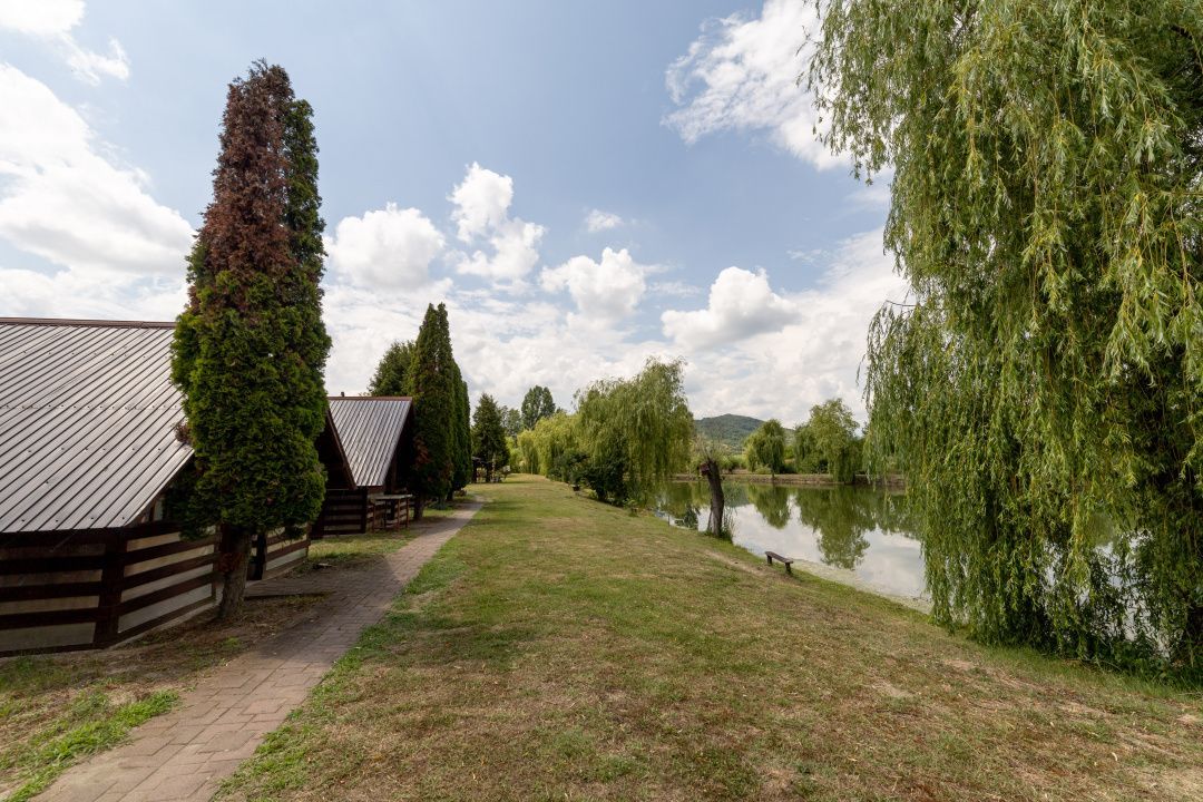 Afacere la cheie - domeniu cu lacuri de pescuit  - Sat Bunești, Com. Malureni - Poză 7