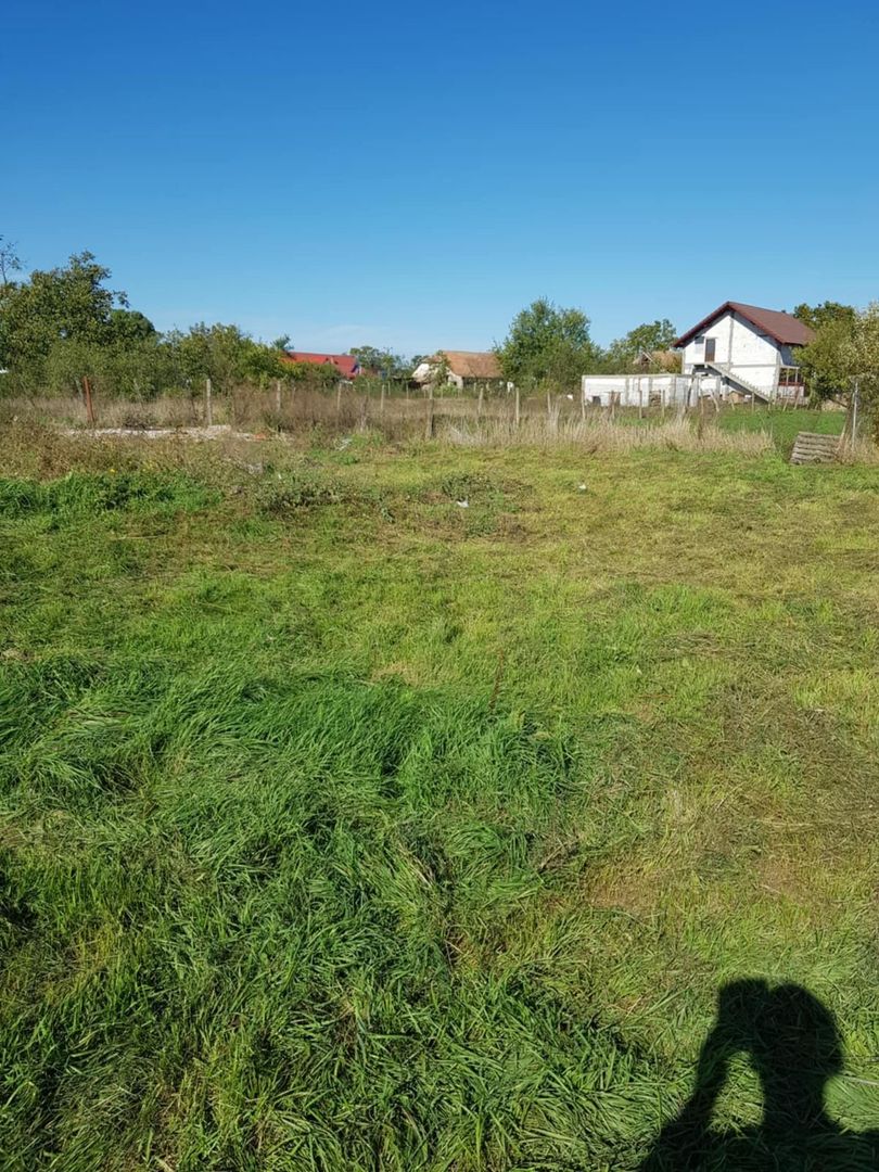 Teren Intravilan Becicherecu Mic In Vatra Satului,1000 mp,Fs. 14m - Poză 4