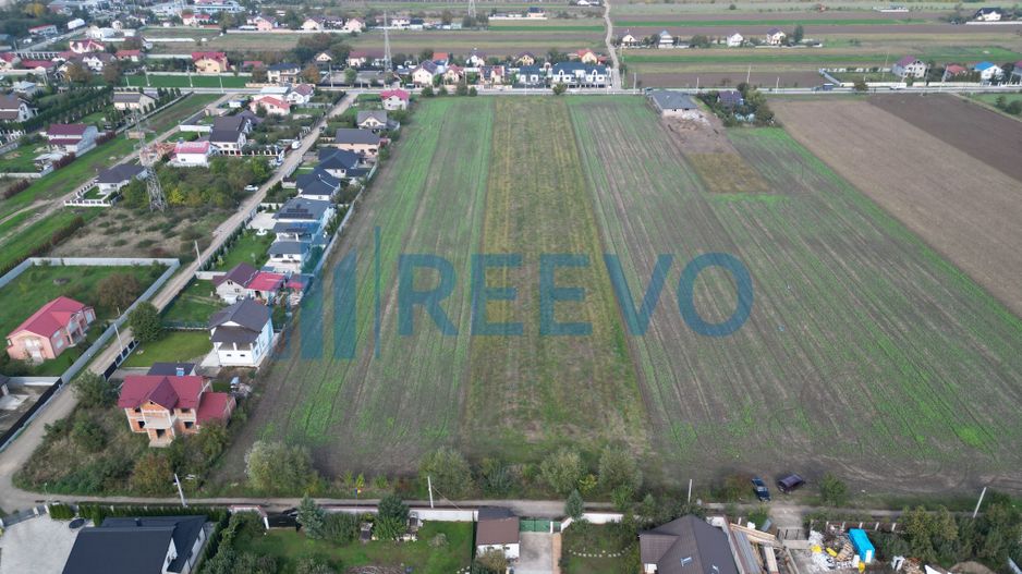 Teren intravilan Bogdan Vodă - Poză 2