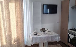 Apartament 2 camere, penthouse, de inchiriat – Zona Nicolina-CUG, Valea Adanca - Poză 4