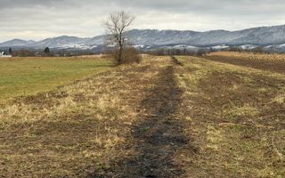 Teren 80 Ari | Vicovu de Sus – Bahna | Front 16.5 - Poză 2