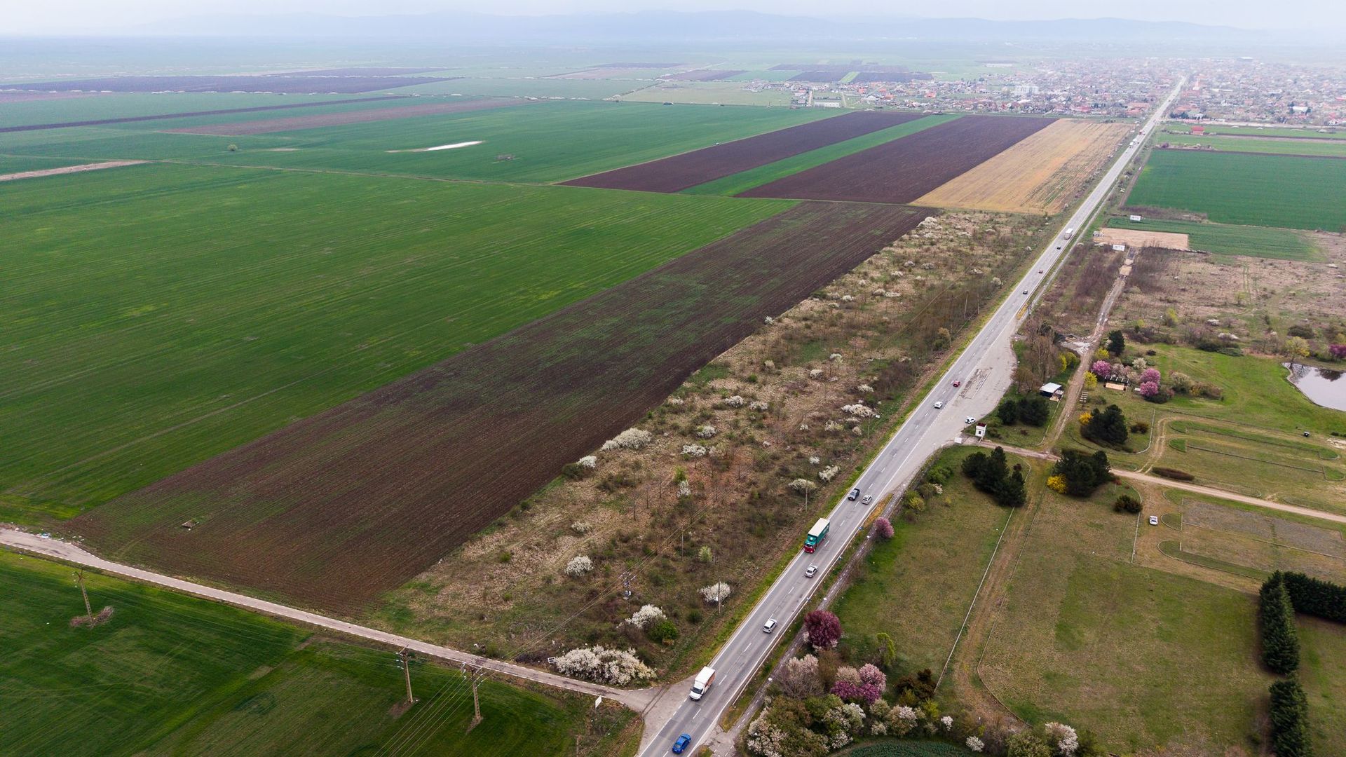 Teren de 41800 mp ieșire Vladimirescu - Poză 8