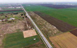 Teren de 41800 mp ieșire Vladimirescu - Poză 4