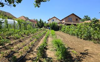 Casa 4 camere + anexe, 636 mp teren, la asfalt, Vințu de Jos - Poză 4
