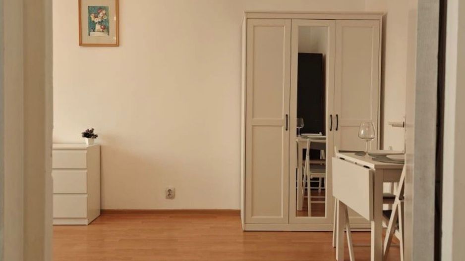 GARSONIERA DRISTOR, BUCATARIE INCHISA, PET-FRIENDLY, METROU 1 MINUT - Poză 3