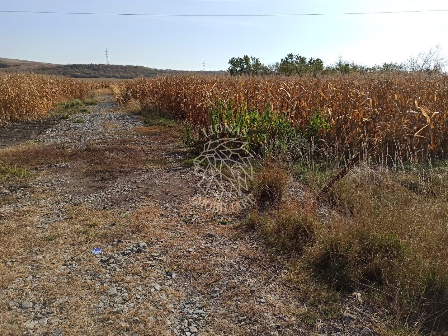 Parcele intre 770 mp si 4606 mp-ideal investitie-Sarata - Poză 4