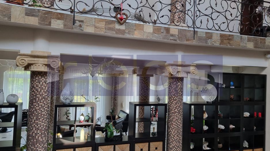 INCHIRIERE SPATIU COMERCIAL-2 VILE | ZONA MOGOSOAIA - Poză 57