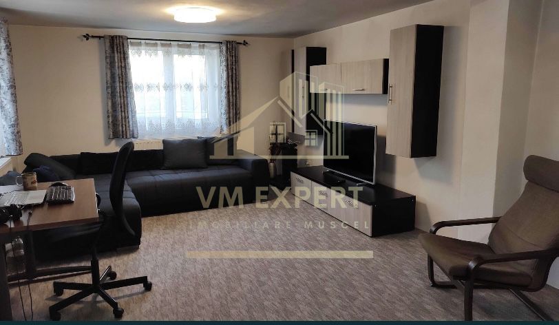 VILA P+1 160 MP, TEREN 4400 MP, LA 10 KM DE CAMPULUNG, 146500 Euro - Poză 3