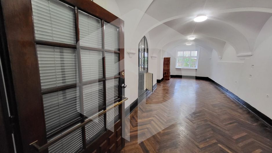 Spatiu de inchiriat | Nicolae Balcescu | Centru | 33mpu | Parter - Poză 1