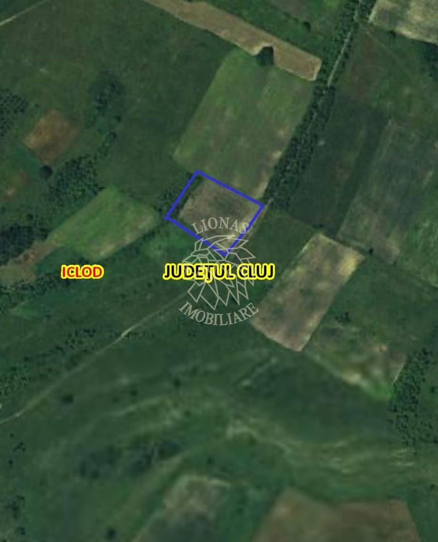 TEREN INTRAVILAN | LOCALITATEA LIVADA, COMUNA ICLOD, JUD. CLUJ - Poză 3