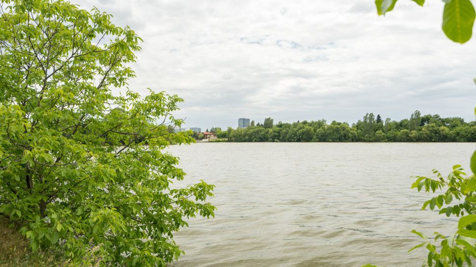 COMISION 0% - Vila superba 4 dormitoare 5 bai vedere lac -Baneasa complex inchis - Poză 28