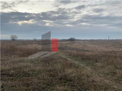 Vanzare Teren 3200mp  Cornetu  Ilfov - Poză 8