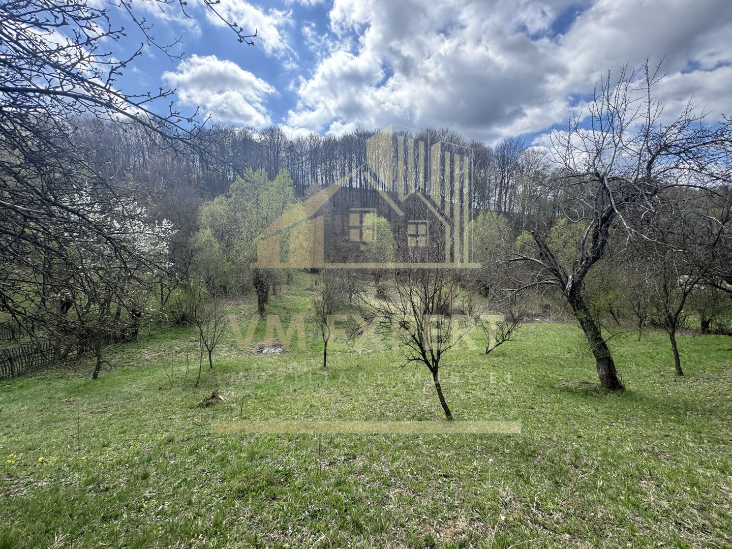 TEREN INTRAVILAN 4365 MP POENARII DE MUȘCEL  JUDEȚUL ARGES - Poză 15