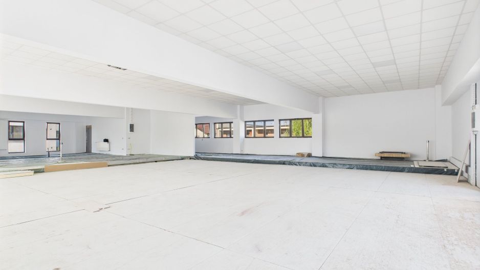 Spații Comerciale între 70 și 350 mp în Dumbrăvița - Poză 2