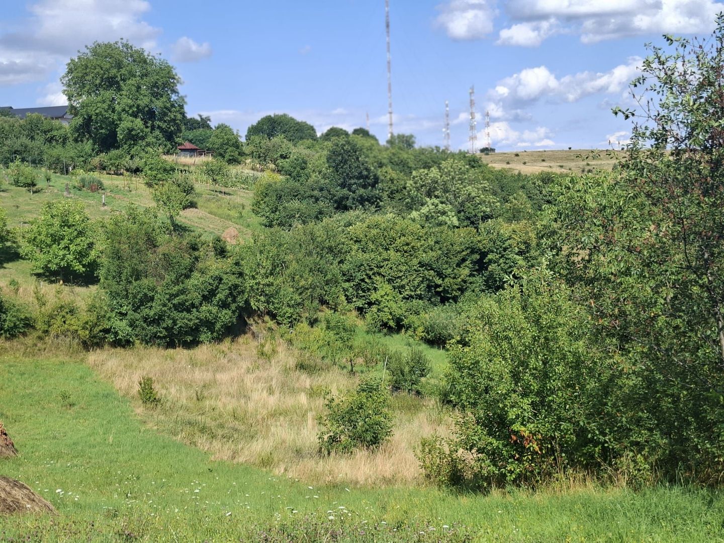 Teren de vânzare in Feleacu - Poză 6