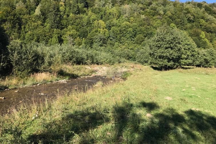 Teren intravilan in Plaiul Foii, Zarnesti - Poză 4