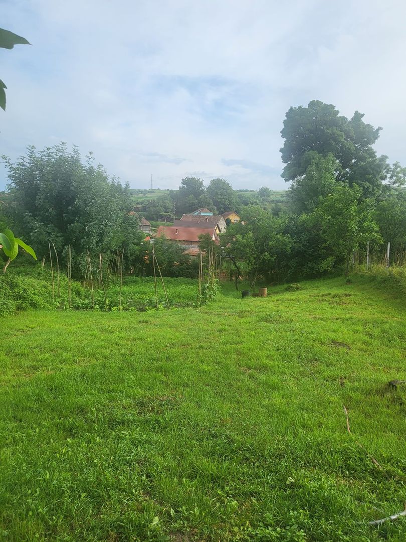 Casa saseasca renovata, cu sura - Seica Mare, Sibiu - Poză 7