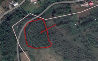 Livadă cu pomi fructiferi pe rod – teren extravilan - Poză 1