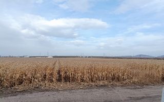 Teren intravilan industrial,str.Durau - Poză 2