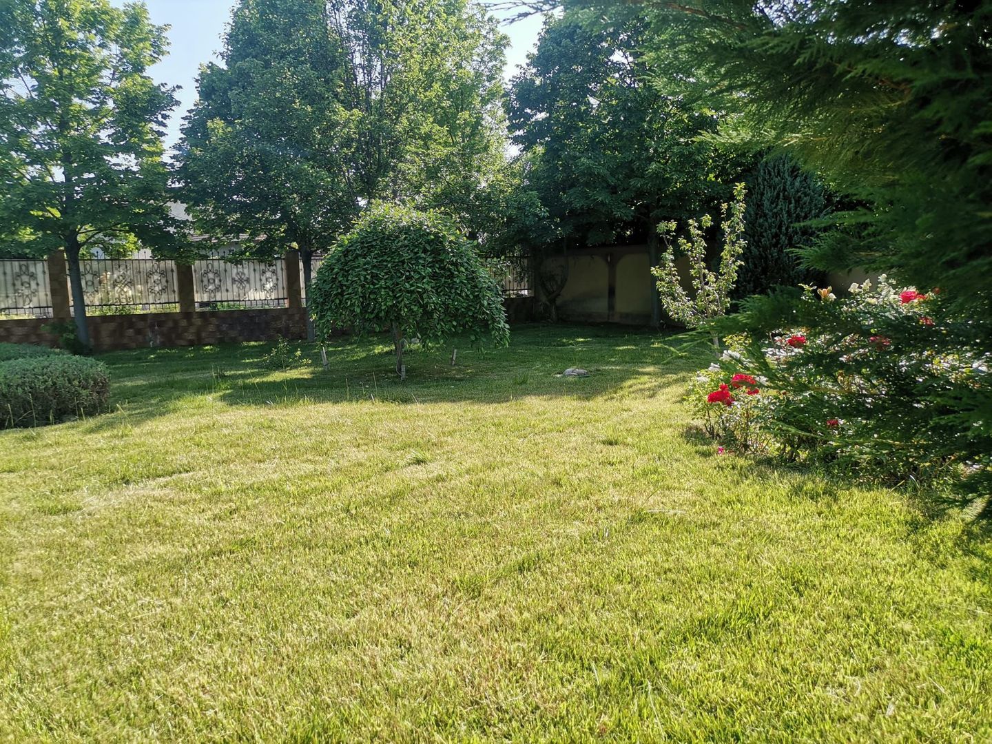 Vilă de lux mobilata/utilata cu terasa+foisor, garaj,gradina si livada - Poză 15