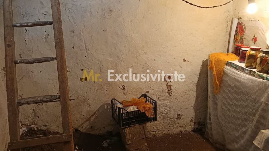 Casă tradițională cu teren de 4.400 mp în Vașad - Poză 20