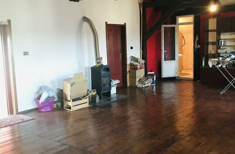 Oportunitate de investitie, o cladire D+P+M rustica in comuna Pischia - Poză 10