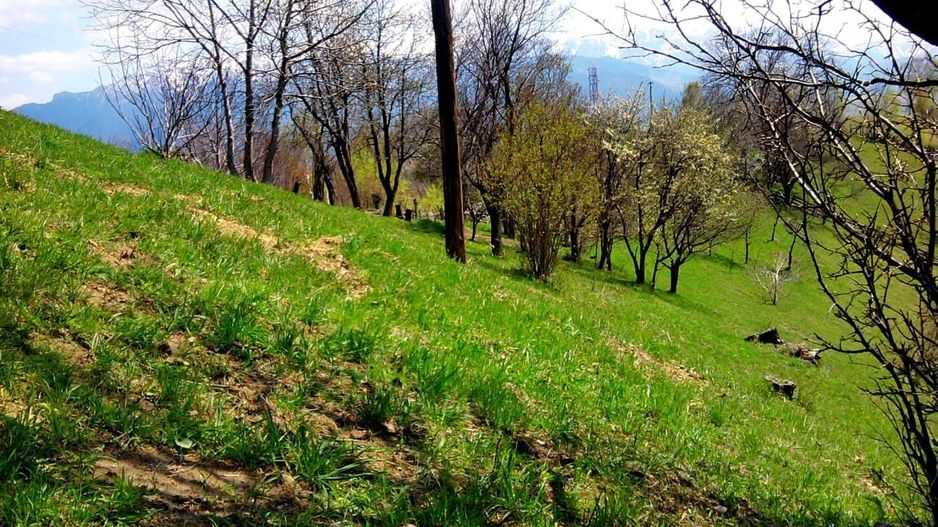 teren intravilan in zona Magura Bran - Poză 22