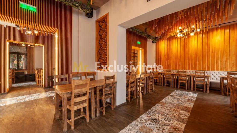 Spatiu comercial premium in vila – Bd. Republicii, Pitesti - Poză 10
