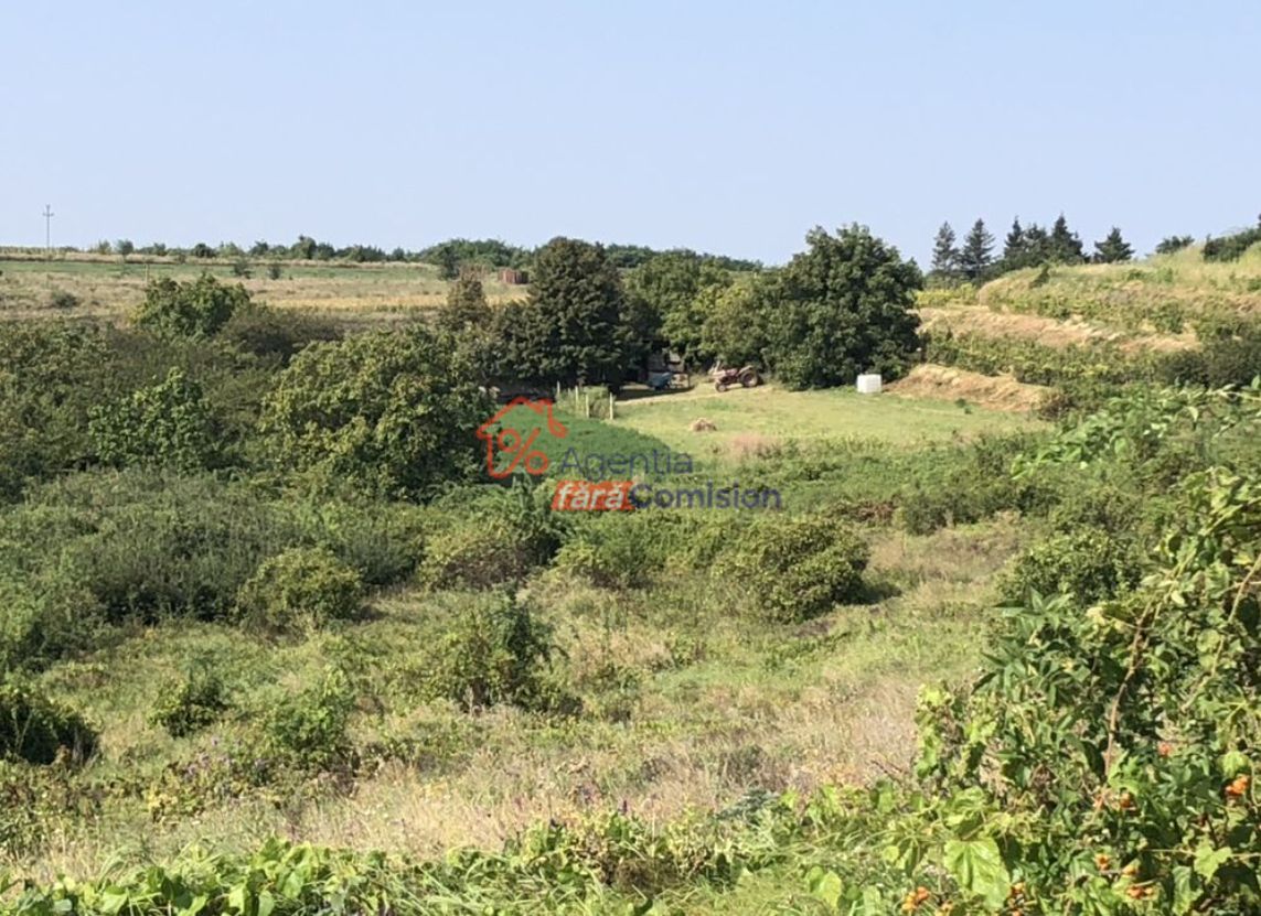 Teren Sorogari, 19000mp,  35euro/mp - Poză 7