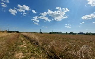 Două loturi 656 mp Ciolpani fiecare / Strada Campului - Poză 3