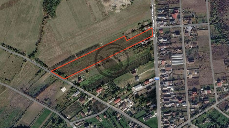 Teren intravilan de vanzare | 12.650 mp | Ghirdoveni | Comision 0% - Poză 2